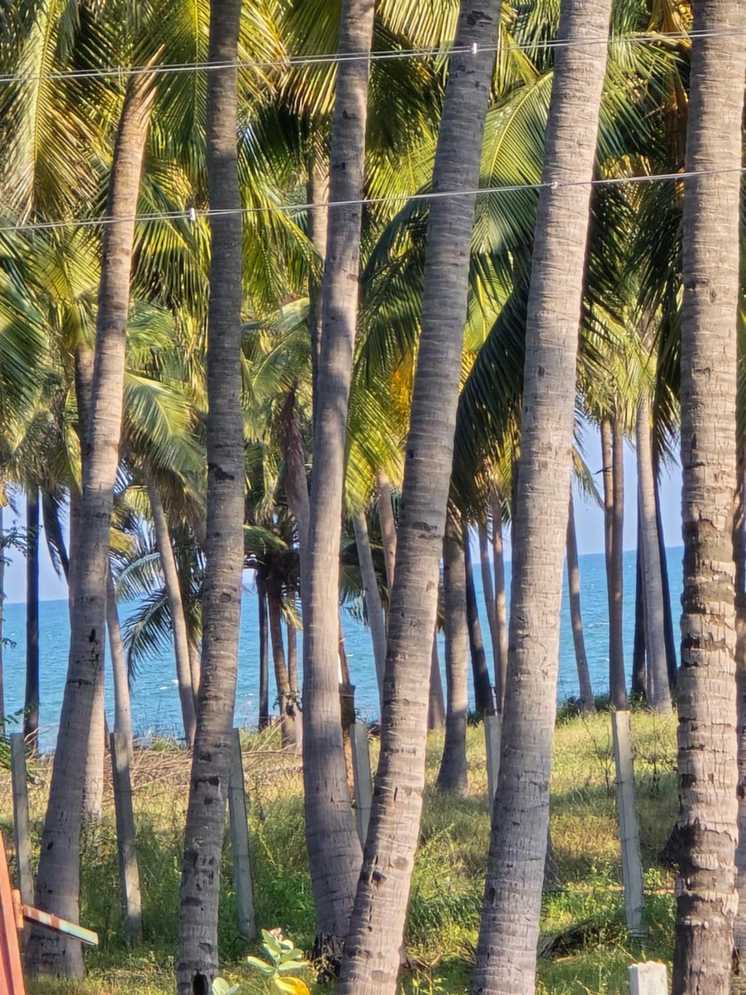 De Lumaa Beachside Stay Pondicherry Bagian luar foto